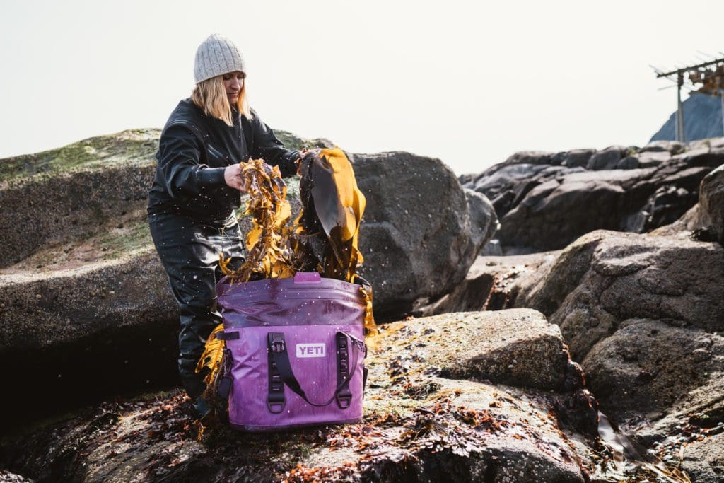 Shop Yeti's newest Nordic Collection for a limited time 