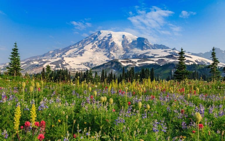 Adventurers Guide To Mount Rainier National Park Washington Skyblue